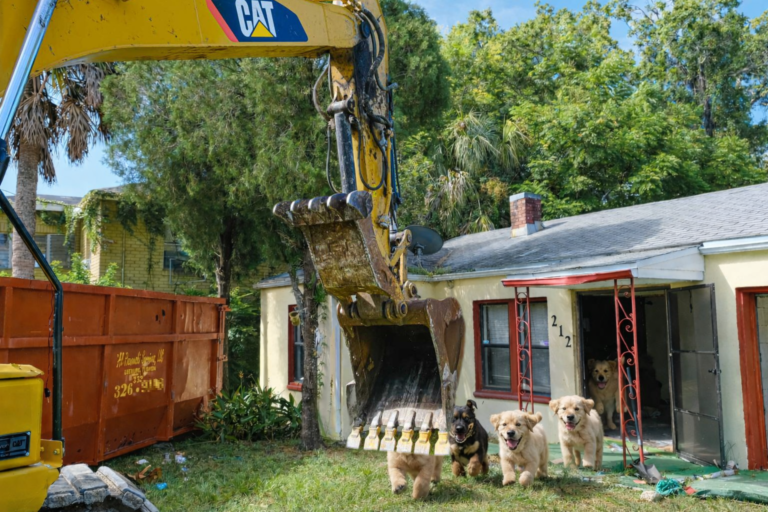 City Demolishes House Full of Puppies to Make Way for Smoothie King